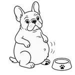 psa po hrani napenja francoski buldog